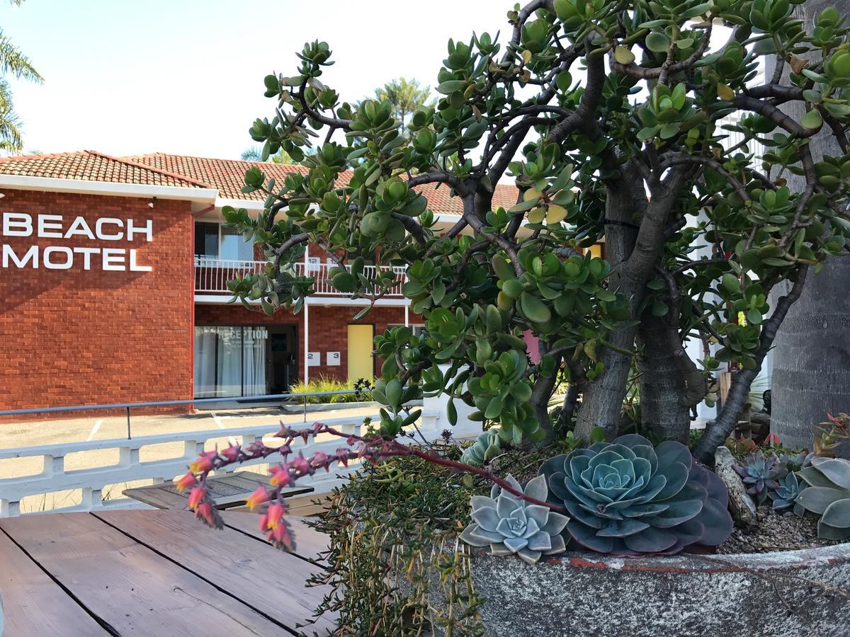 Thirroul Beach Motel Esterno foto